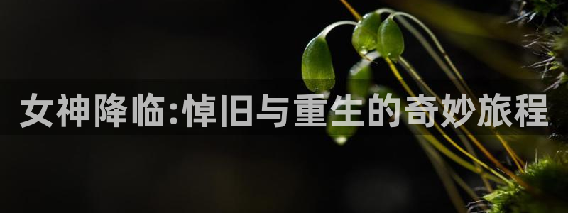 香蕉漫画免费登录入口官网