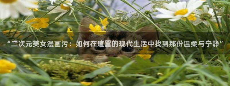 香蕉漫画广告在哪